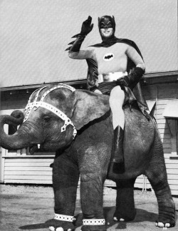 Batman riding an elephant, circa 1966-1968.