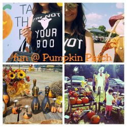 1st trip out to the #pumpkinpatch this #halloween season&hellip;won&rsquo;t be the last! 🎃😀 by theavaaddams