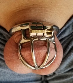 stephaniesugarplum:  Day 147 of chastity.   Last 30 of which were in my new 1.75in steel prison.   Only out for 10 minutes once a week to re-Nair, massage, and remoisturize my little bits.  I want to be more accountable to you on here though. I love when