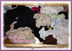 It’s A Pantie Drawer Raid Day!  All you boys and gurls out there know that you love to peek in pantie drawers, especially if it is a real girl’s!  Well today is your day.  It’s a day full of pantie drawer peeking and the fun starts now.  Hang