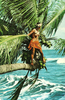 sapta-loka:  1960s Tahiti 