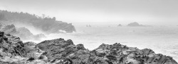 “Naked Coastline” Oregon Coast-jerrysEYES