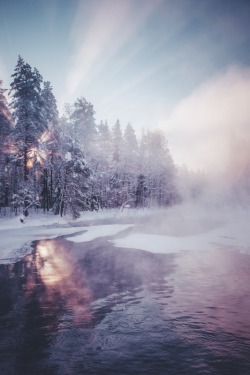 thespianmickey:  natureac:This blog will make you feel at peace Is there an felicity so glorious as those beams of rose gold shooting through the spruce and pine?!