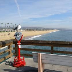 Newport Beach 🇺🇸🕶️ #usa #roadtrip #california #ocean #sun #theoc #newportbeach (presso Ruby&rsquo;s Diner)