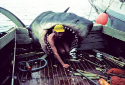 Jaws, 1975.