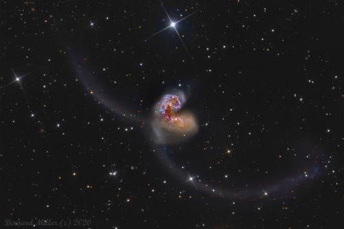 just&ndash;space:  Exploring the Antennae : Some 60 million light-years away in the southerly constellation Corvus, two large galaxies are colliding. Stars in the two galaxies, cataloged as NGC 4038 and NGC 4039, very rarely collide in the course of the