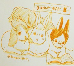 86apricotton:  8/2 Bunny Day♥ 框(キョウ)