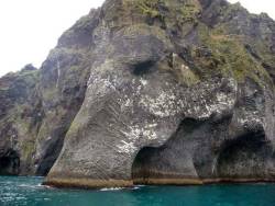 xfilesbaby:  rrareearthh:  fisnikjasharii: Naturally Erupted Elephant Rock in Heimaey in Iceland I’ve often seen pictures of the elephant’s head, and have been amazed by it every time. But I’d never seen the picture from above, showing the whole