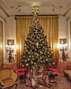 Grandma&rsquo;s Xmas Tree is always stunning. ❤️ #christmastree #christmas #tree #holidays #family