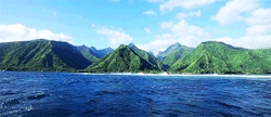 surphile:  Tahiti. Looking back.videog pagan