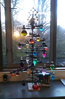 childofthesun26:  science-jesus:  sisterjuliennes:  canissiriusmajor:  highfunctioningshirtbuttons:  Our class has the best Christmas tree.  oh my god it’s our chemistree  BLESS  But of the tree of the laboratory, thou shalt not eat of it: for in the