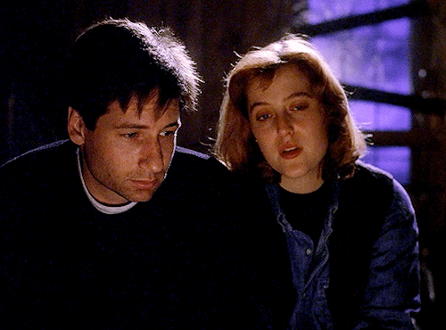 cristinaricci:  THE X-FILES | Darkness Falls (1.20)I told her it was going to be a nice trip to the forest.