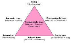 psych2go:  Read more about it here: According to Sternberg’s Love Theory, There are Three Components of Love: Commitment, Passion and Intimacy