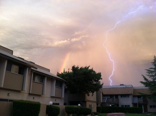 tennants-hair:  slythwolf:  light-brights:  SO I JUST GOT A SHOT OF A RAINBOW AND LIGHTNING IN THE SAME PICTURE????!  thor supports gay rights pass it on  oh my god 
