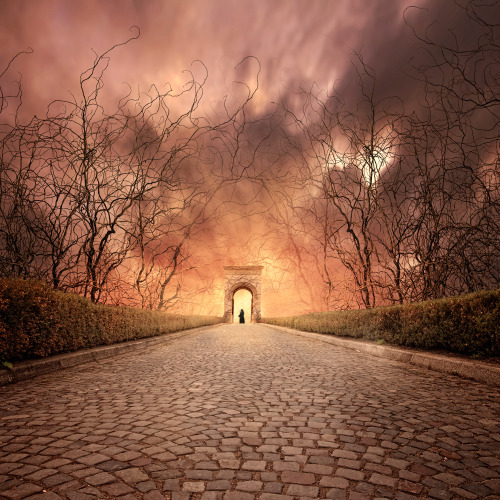 sosuperawesome:  Caras Ionut porn pictures