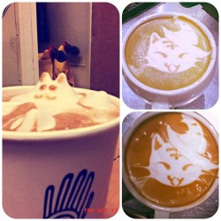thecoffeefox:  Halloween kitties and a 3D treat! Was having a little too much fun at work with coworkers. So I showe Jen the 3D cats… And of course the witch cat! #latte #latteart #coffee #coffeeart #kitties #cat #witch #halloween #october #barista