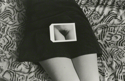 Sex gif:  KENNETH JOSEPHSON Polapan, 1973  pictures