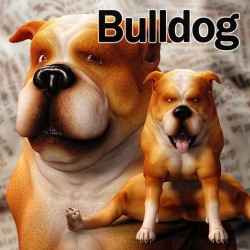 Get barkin’ with Chocolates new Bulldog for Poser 8 Dog!  Use of bones and weight maps that match the bulldog, and include  numerous morphs such as expression and movement. SSS Material Optimized.  Various 19 poses and 2 mat poses! Ready for Poser 9
