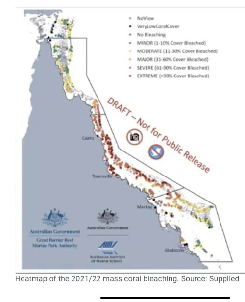 mapsontheweb:  Leaked draft map of bleaching damage to the Great Barrier Reef.via @ProfTerryHughes