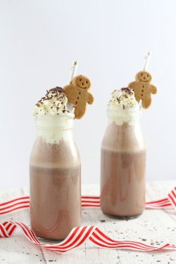 foodiebliss:  Frozen Gingerbread Hot ChocolateSource: My Fussy Eater  Don’t get your tinsel in a tangle,Come in from the cold and,Visit Foodie Bliss,For the delights of Christmas and winter.   