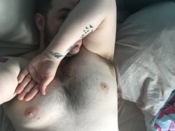 shybearcub:Hiding away in bed