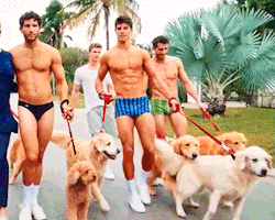 famousmeat:  Guys in underwear walking puppies,