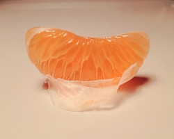 pallidina:  a naked mandarin 