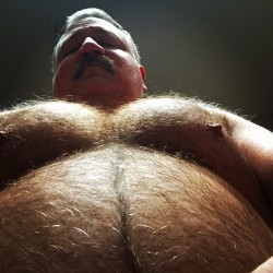 texasbeefmark:  Happy hump day! #gaybear #moobs #pecs #bellyrubs #furry