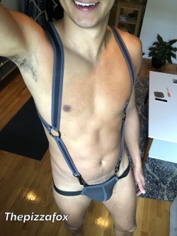 holy-trainer-locked:  thepizzafox:  New harness!  I hope you wear your chastity device!And to make this pic perfect, you should get your nips pierced!