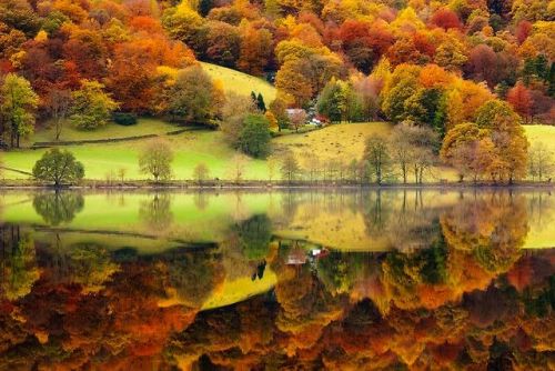 nubbsgalore:  autumn reflections by david clapp in england’s lake district national park; maurizio biancarelli of proscansko lake in croatia’s plitvice national park; and agustin rafael reyes of onuma pond in japan’s towada hachimantai national