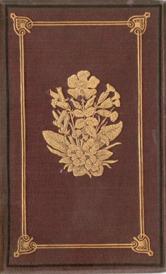 michaelmoonsbookshop:  gilt detail of the cover of Wild Flowers Where to Find Them and How to Know Them by Spencer Thompson published c1870 