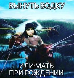 Saquen el vodka o les parto su madre #russia #mame #meme #rusia #bear #oso #desmadre
