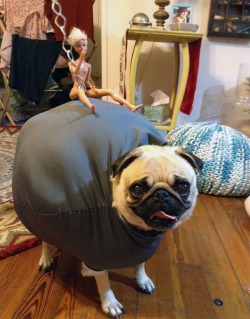 cajunmama:  source Wrecking Ball dog costume 