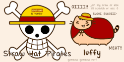 akatsukii:  One Piece Kitties (pusheen) :3