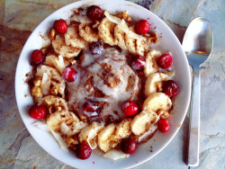 babytakeoffallyourarmor:  Pumpkin spice oatmeal with banana slices, roasted cranberries, almond butter, coconut butter, shredded coconut, crushed walnuts, honey and cinnamon! Oh god MOUTHGASM 