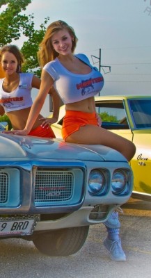 bimbodreams:  girlslikebarbie:  That’s just not fair on the girl behind!  It’s not fair to all of us!  HOOTERS HOOTERS HOOTERS
