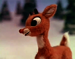 Porn weheartchristmas:  Rudolph The Red Nosed photos