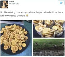 surprisebitch: pancakes are made of eggs omfg   