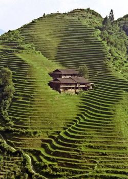 heyfiki:  Longji Terrace, China 