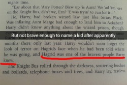 doloresjaneumbridge:  Some snaps from my Harry Potter Reread - Part 1 [Part 2] 