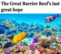 salon:  At 135,000 square miles, the Great Barrier Reef reigns as the world’s largest living structure. Located off the northeastern coast of Australia, it houses more than 600 species of coral and thousands of other types of marine animals, too. Yet