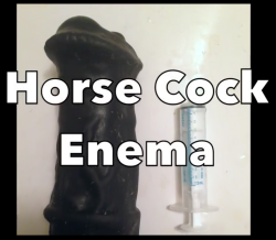 Horse cock milk & egg insertion - Pornhub.com