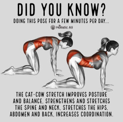 crime-she-typed:  justbeinme93: envymyblackness:   chaun-cey:  jehovahhthickness:   se0ctopus:  Yoga is good    Doing this before my next dick appointment    💀💀💀   These all look like sex positions lol   I knew exactly where the comments were