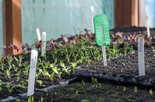 biodiverseed:  papalagiblog:  Charles Dowding’s No-Dig (And No Weed) Garden in Somerset  I love seeing no-till operations in action! This is a brave new era of best practices to prevent soil depletion.