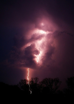 Fro-Do:  Storm Warning By Pj4Sberg On Flickr.