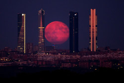 untrustyou:  The moon shines through the Four Towers Madrid skyscrapers on Aug. 11, in Madrid, Spain. Gonzalo Arroyo Moreno / Getty Images