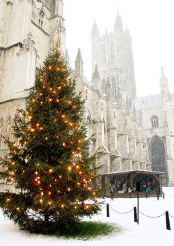 fabulousplaces:  Canterbury Cathedral, Snowing,