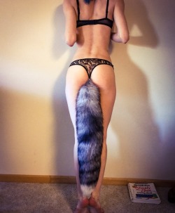 puplaika: submissivepanties23:  My new super long wolf tail  Okay wow 