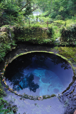 korrigan-sidhe:  witchyroses:  dirrtyflowerchild:  mookau:  This is definitely a portal to another world  no questions..^  Oh faery pools *wistful sigh*  i will never not reblog this picture, just let that be known. i feel more at home looking at it than