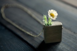 myampgoesto11:  Hand made wood and grass mini planter jewelry by Mr. Lentz    “I create and design functional items and jewelry – mostly out of reclaimed wood and upcycled materials from salvage yards. I have always been a creator – influenced